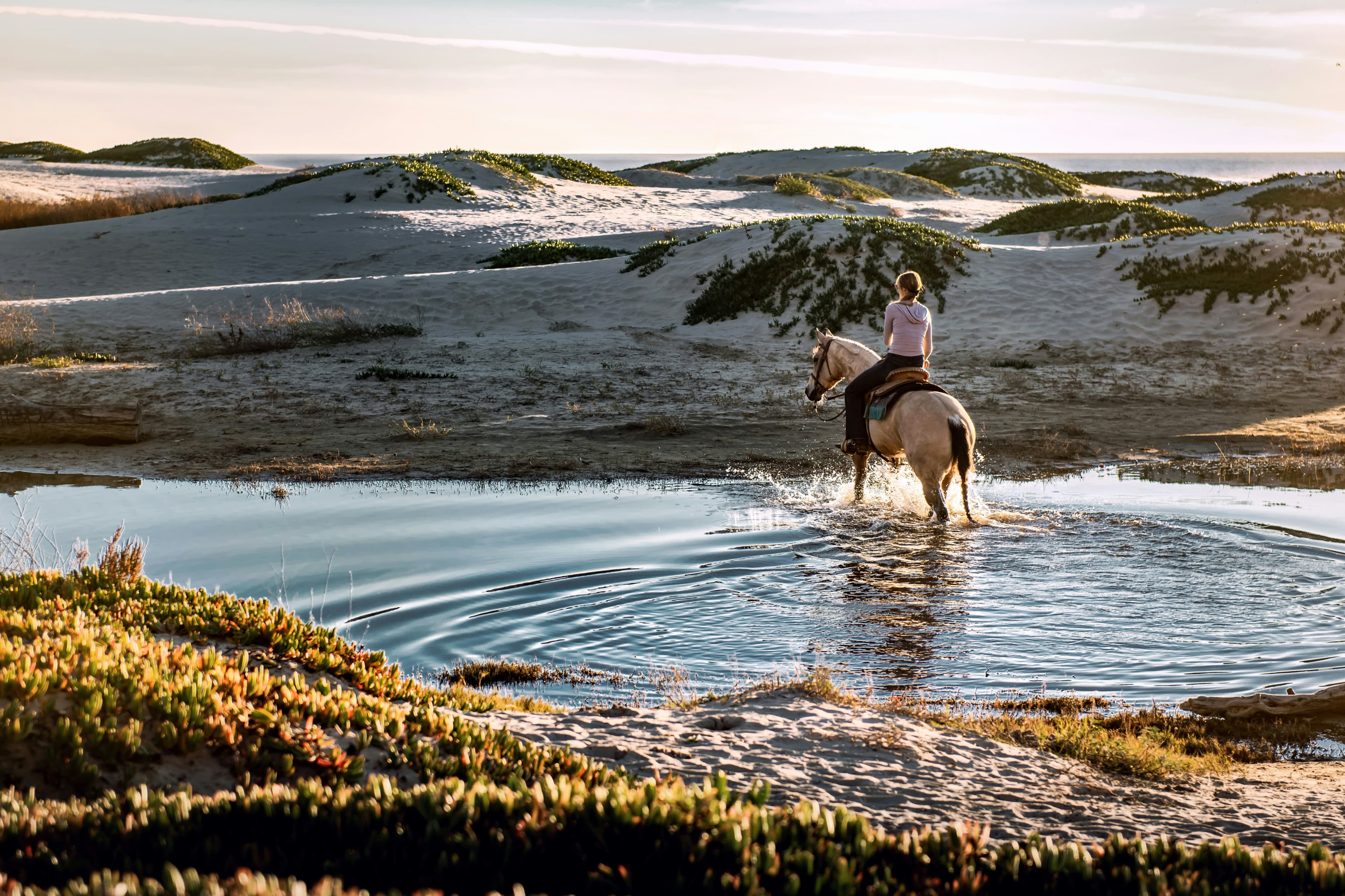 Promenade à cheval dans les dunes