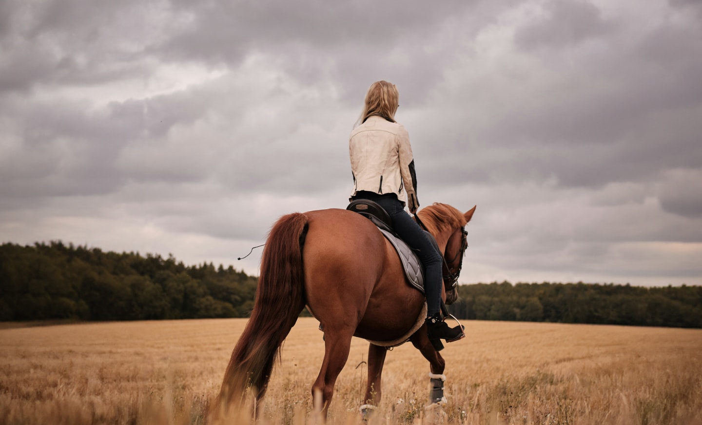 Promenade à cheval dans un champ