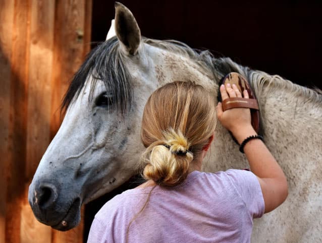 Voir la catégorie pansage